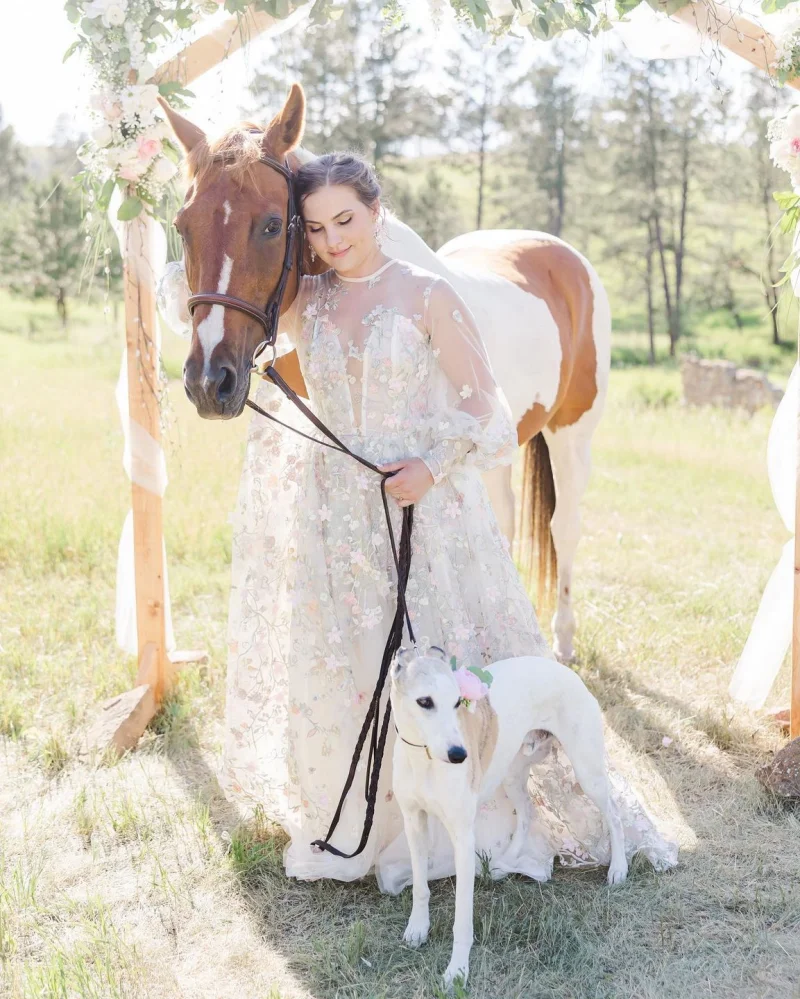 Ha13c3d12c7b84fda93890126cd2e8995A